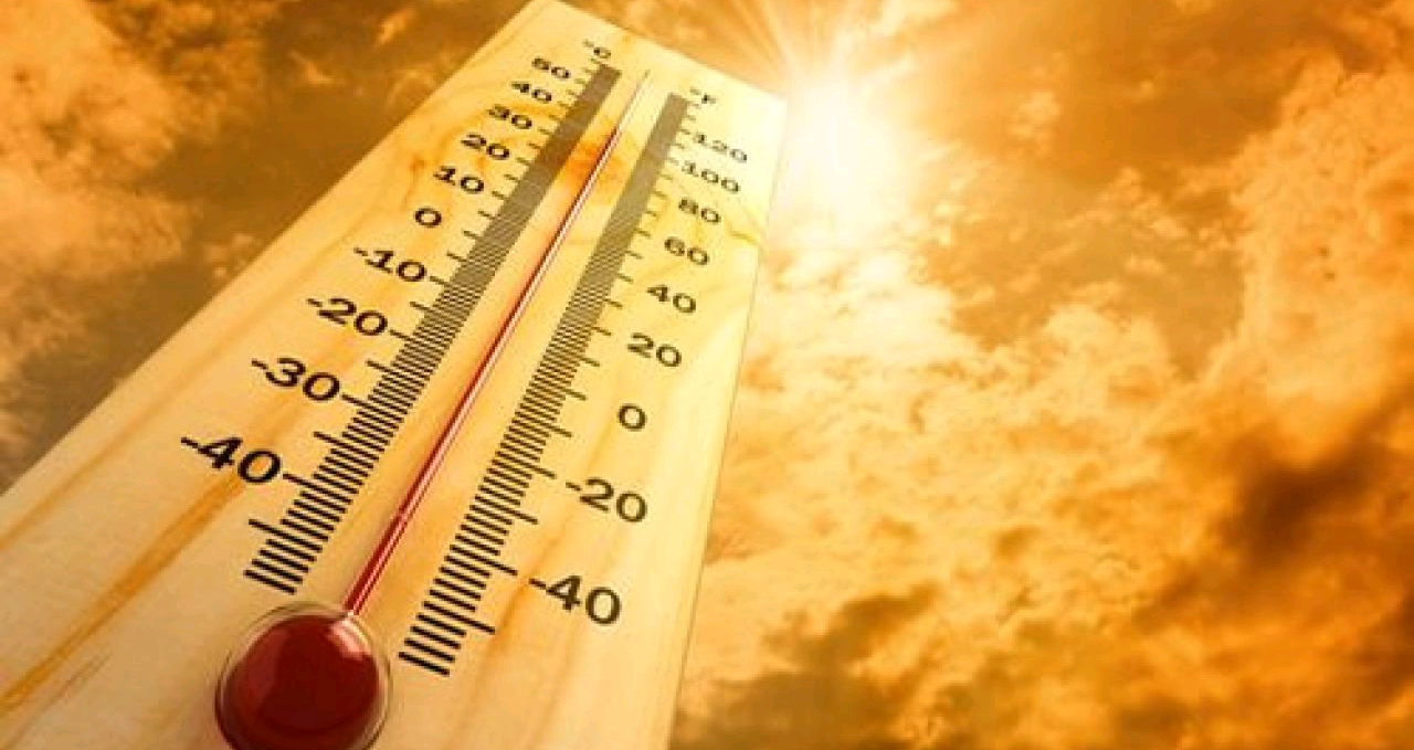 caldo