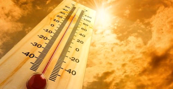 caldo