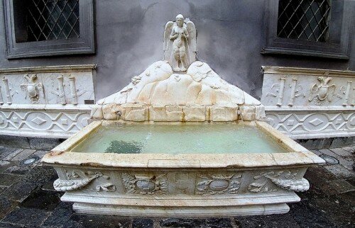 spinacorona_1
