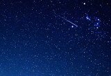 stelle