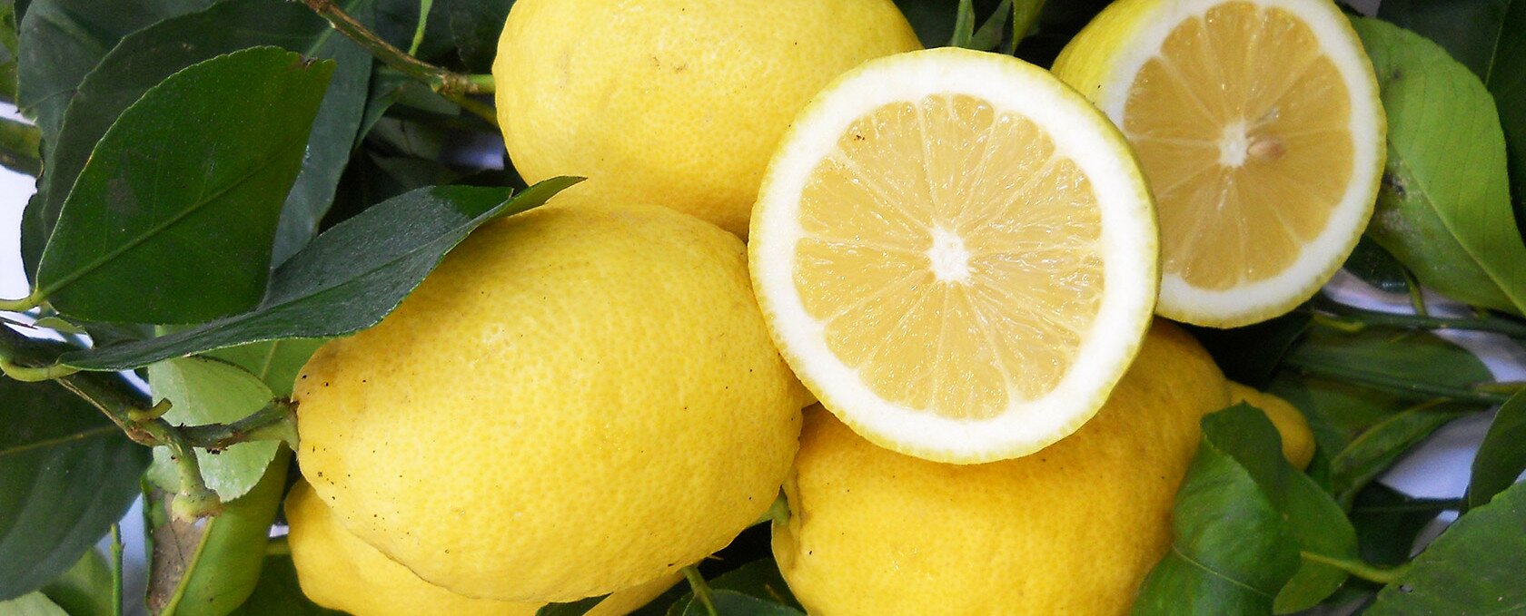 limoni