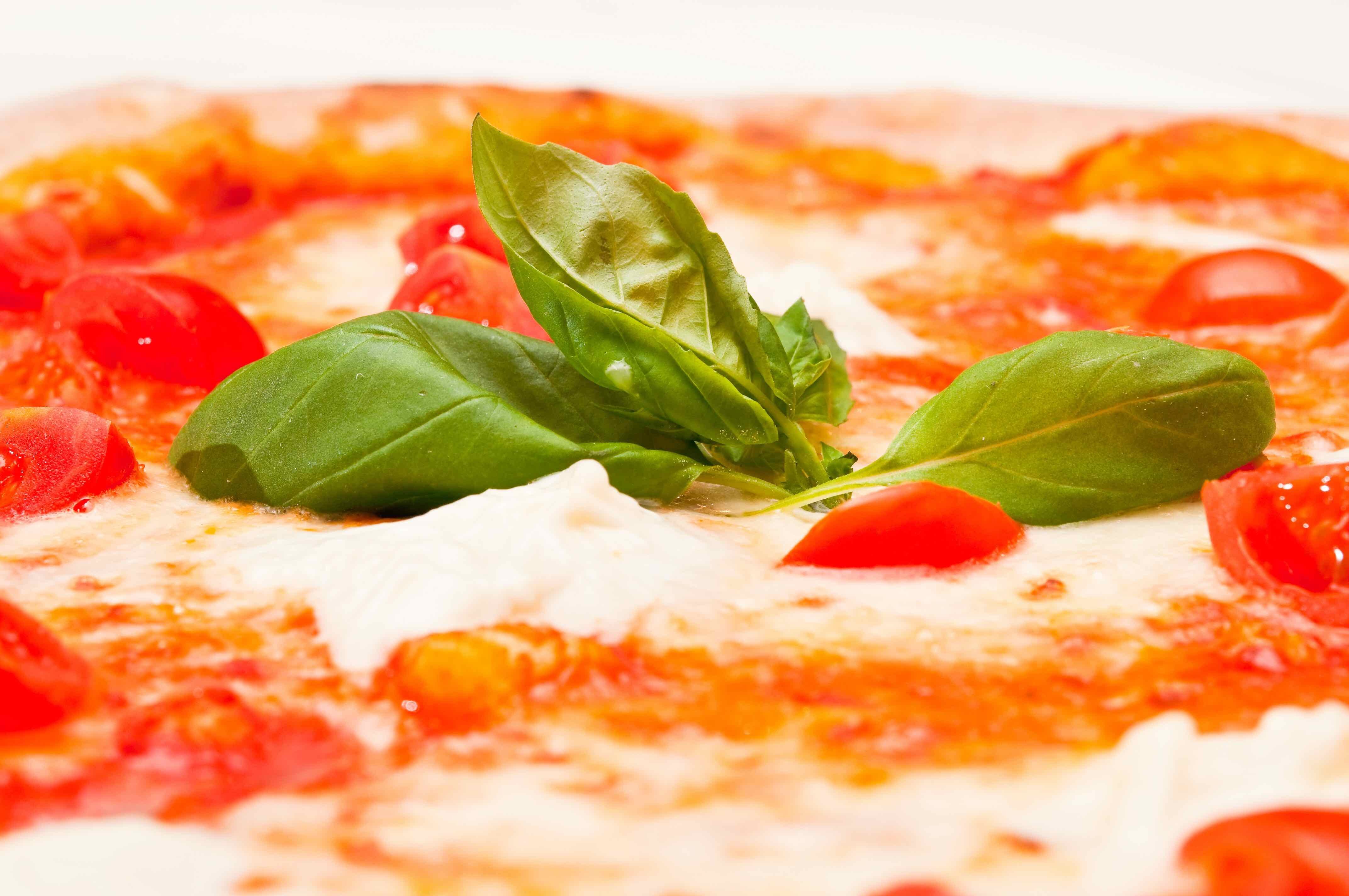 pizza margherita