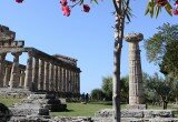 Tempio-di-Cerere-Paestum