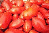 pomodoro san marzano