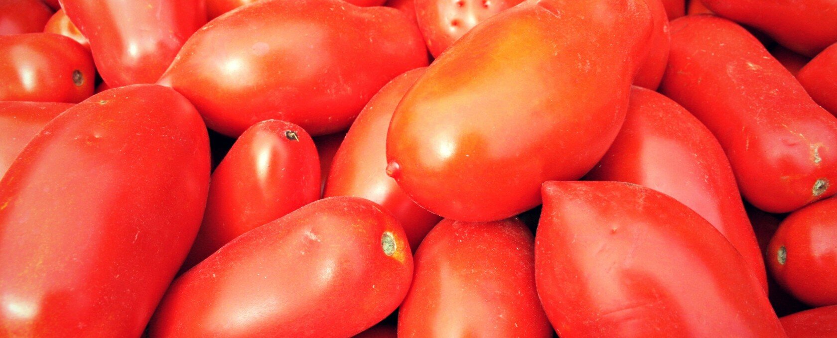pomodoro san marzano